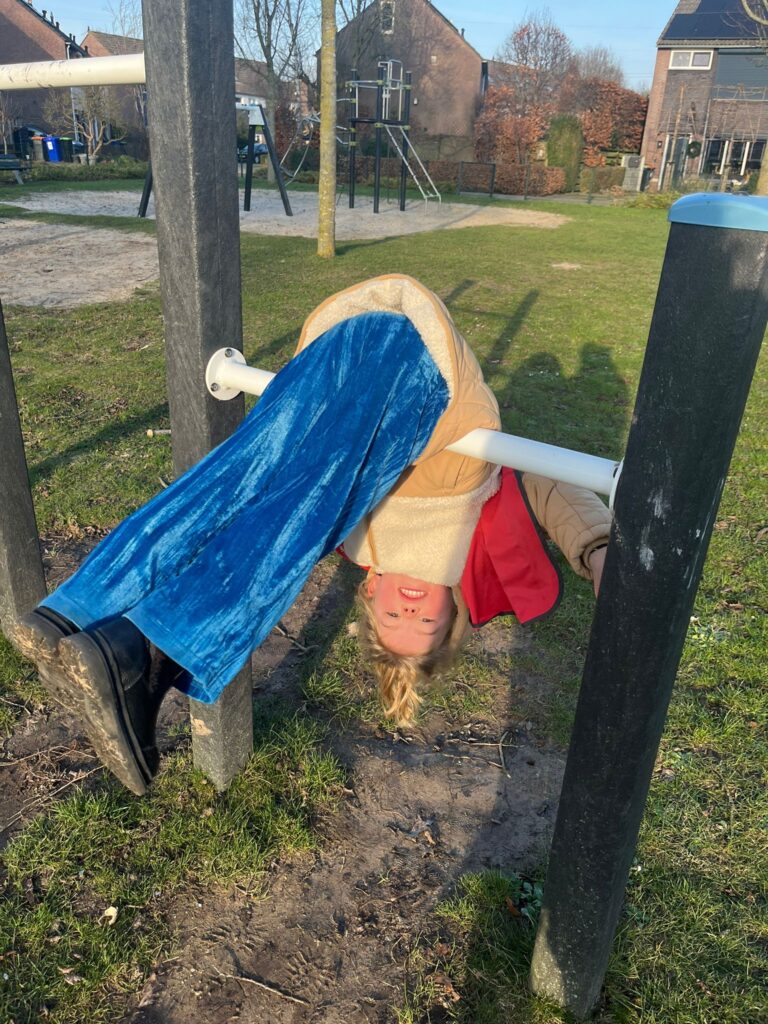 Sport-BSO Flekss Raamsdonksveer - Duikel rek