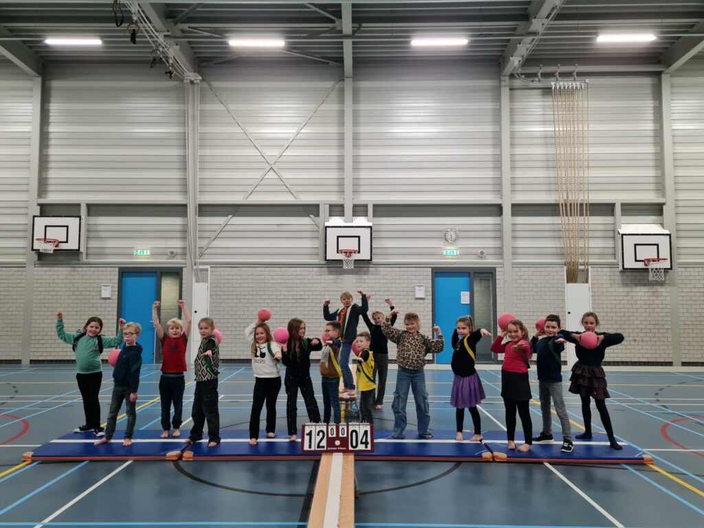 Sport-BSO Flekss Made - Super Mario trefbal