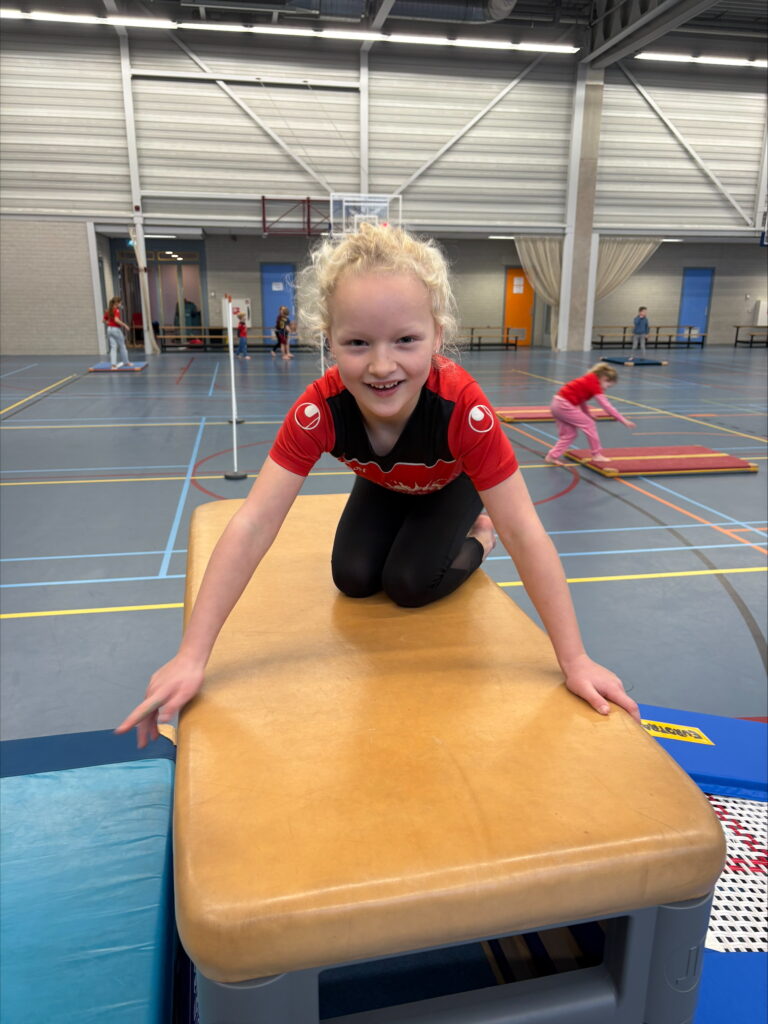 Sport-BSO Flekss Soccer Center - Sporthal Dongemond