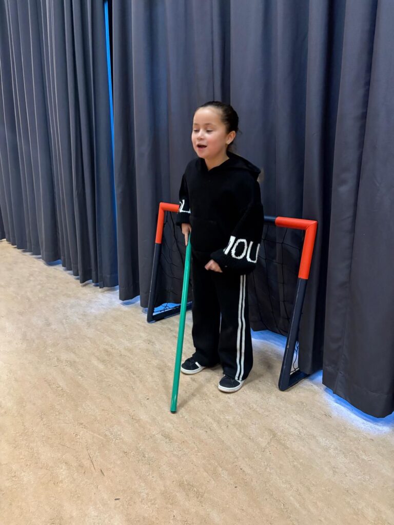 ringhockey gymzaal flekss 2