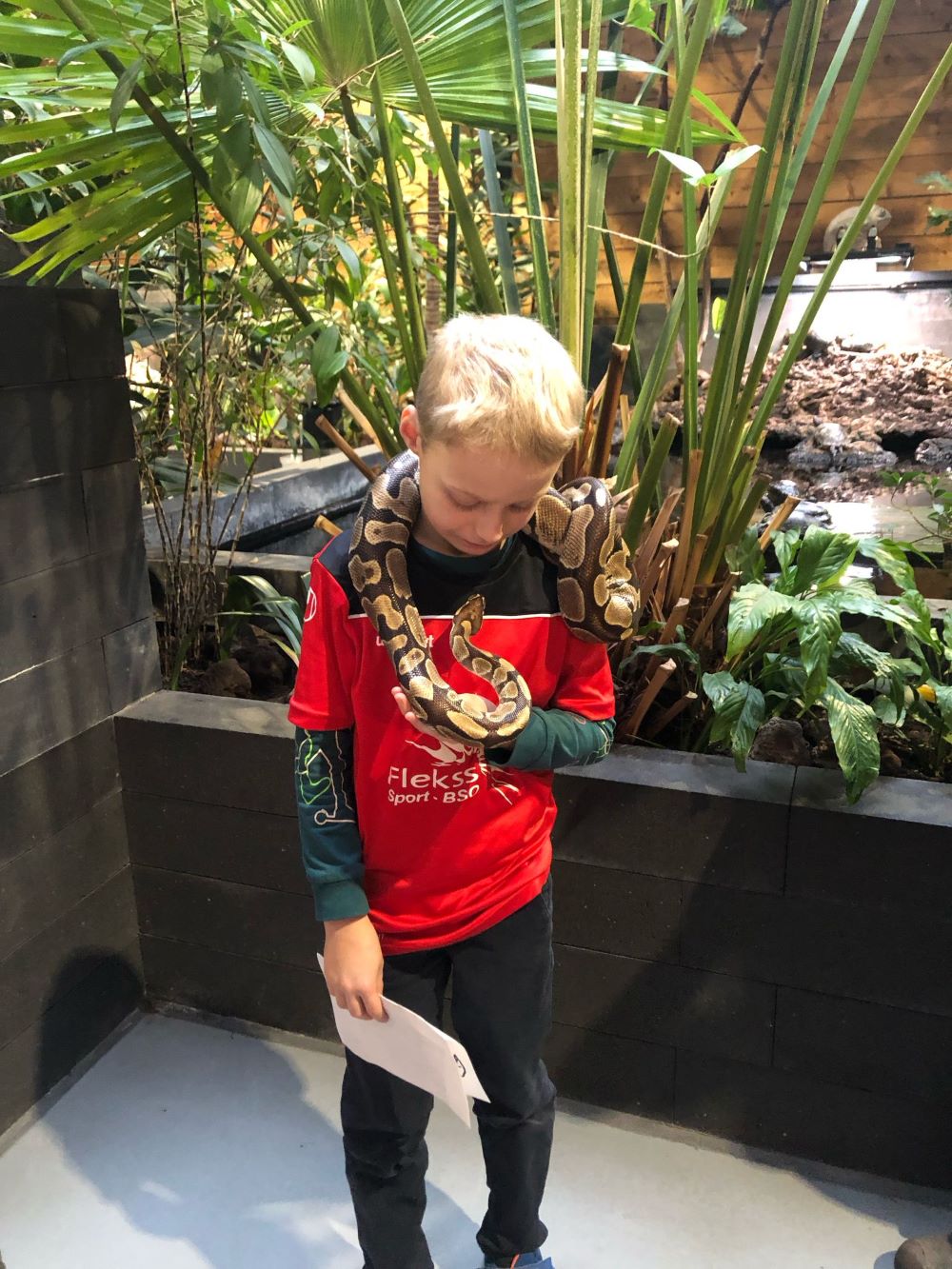 Flekss Kraaienest 7 1