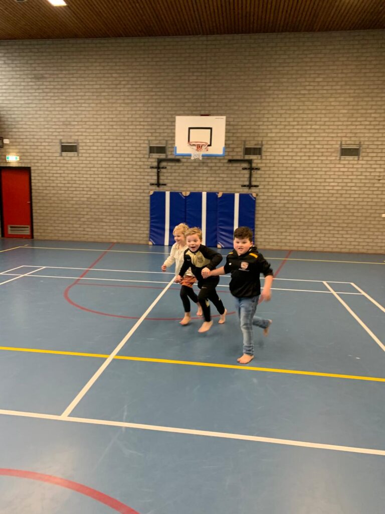 Sport-BSO Flekss Raamsdonksveer - Tikspel