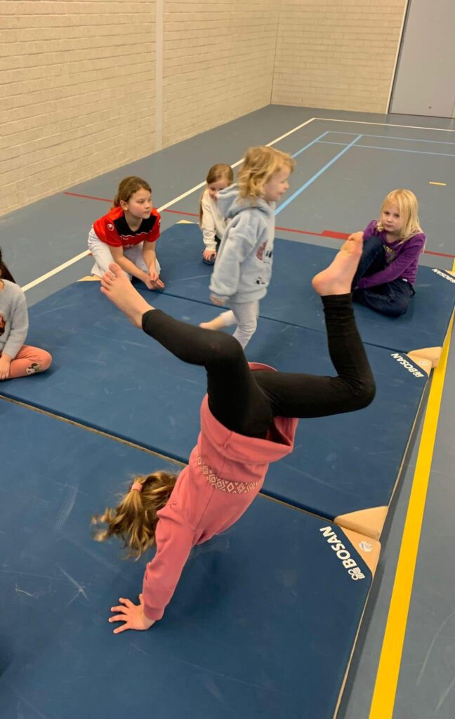 Sport-BSO Flekss Raamsdonksveer - Acrobatiek