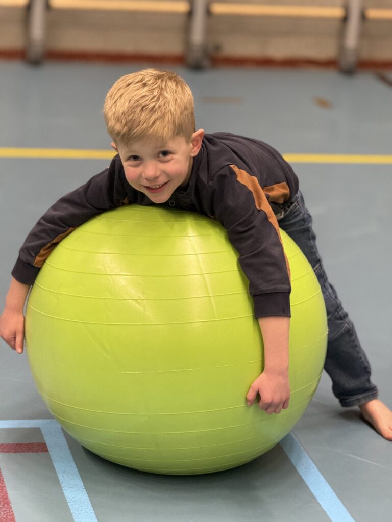 Sport-BSO Flekss Made - Yogabal spel