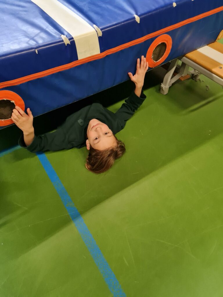 Sport-BSO Flekss Soccer Center - Gymzaal