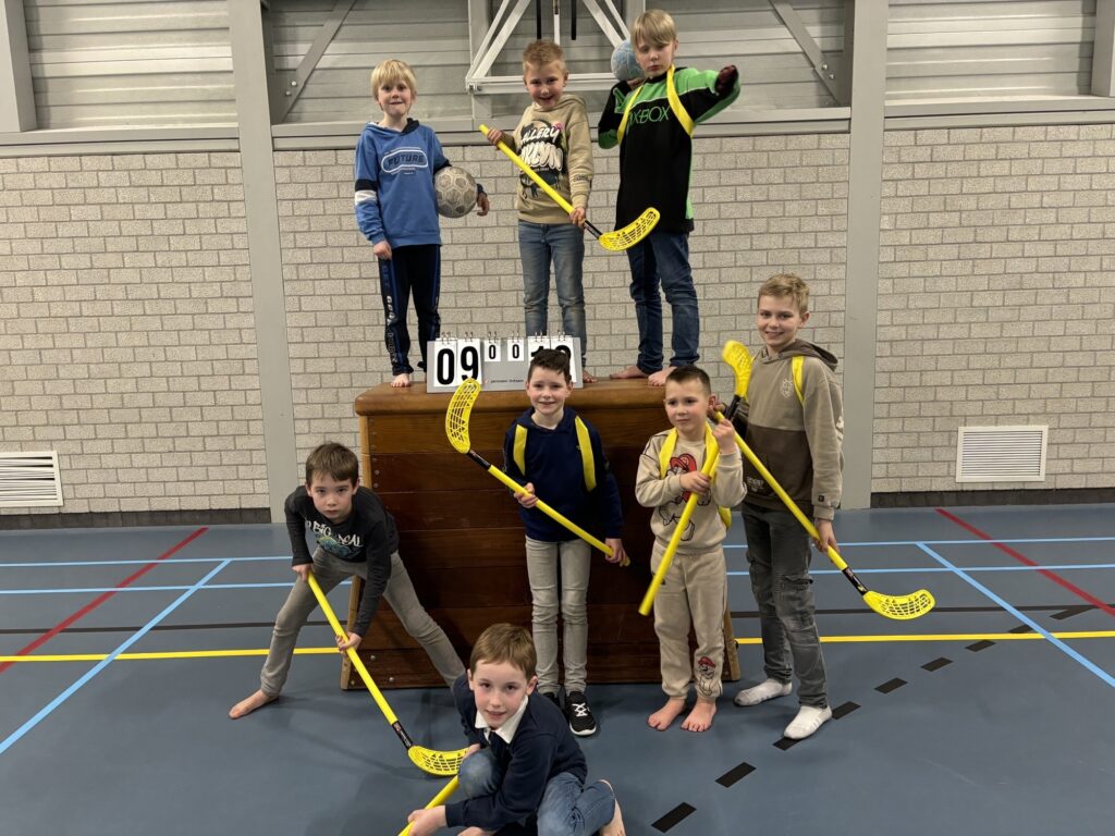 Sport-BSO Flekss Made - Allesbal