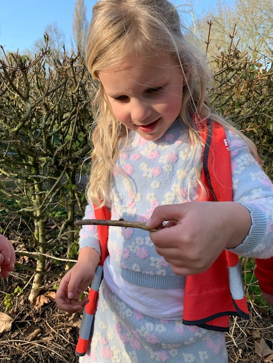 kind zoekt lieveheerbeestje zevenbergen