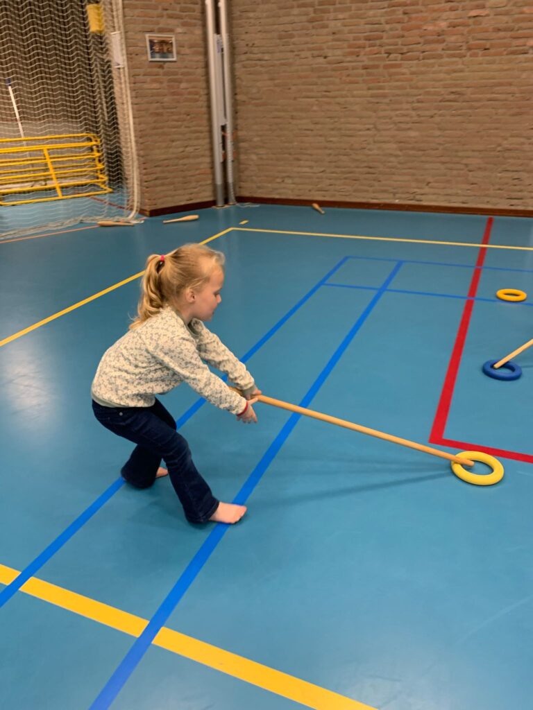 BSO Dillehof - Ring hockey