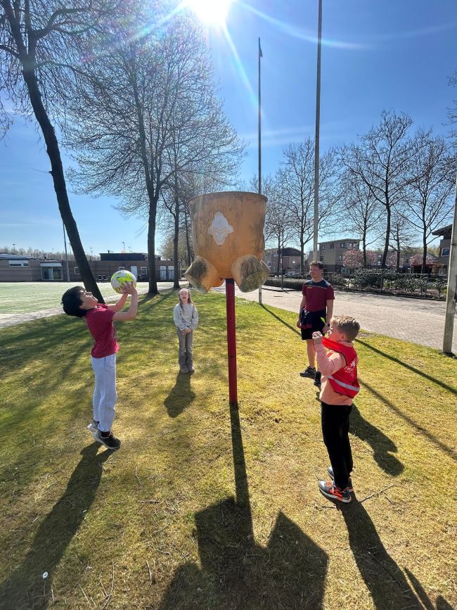 Sport-Bso Flekss Focus Fop bal