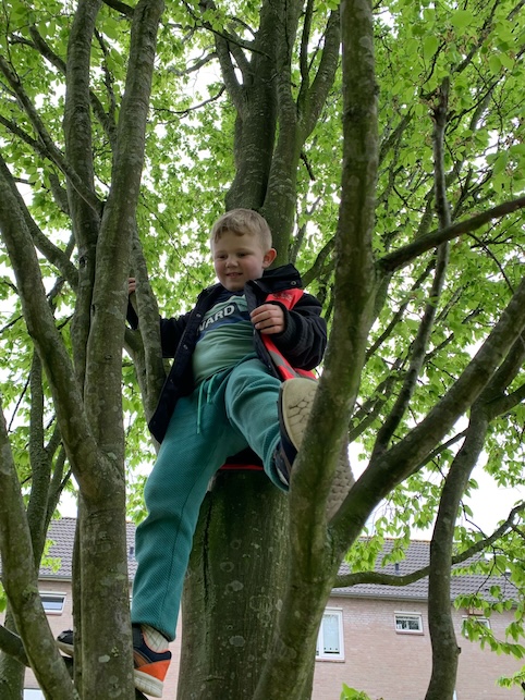 kind klimt in boom zevenbergen