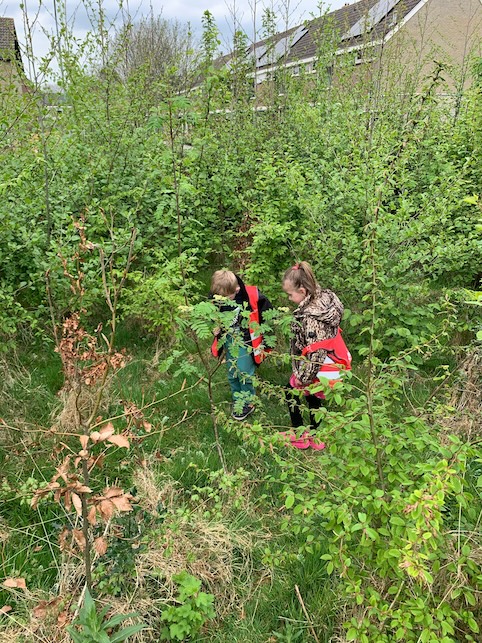 kinderen spelen in struiken zevenbergen