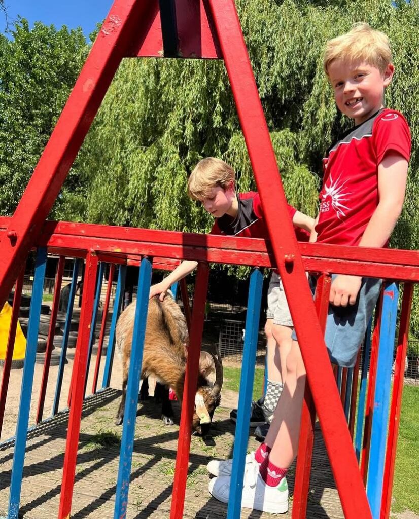 Kinderen spelen met geitjes bij Sport-BSO Flekss