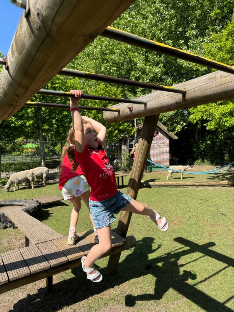 BSO dillehof - monkey bars