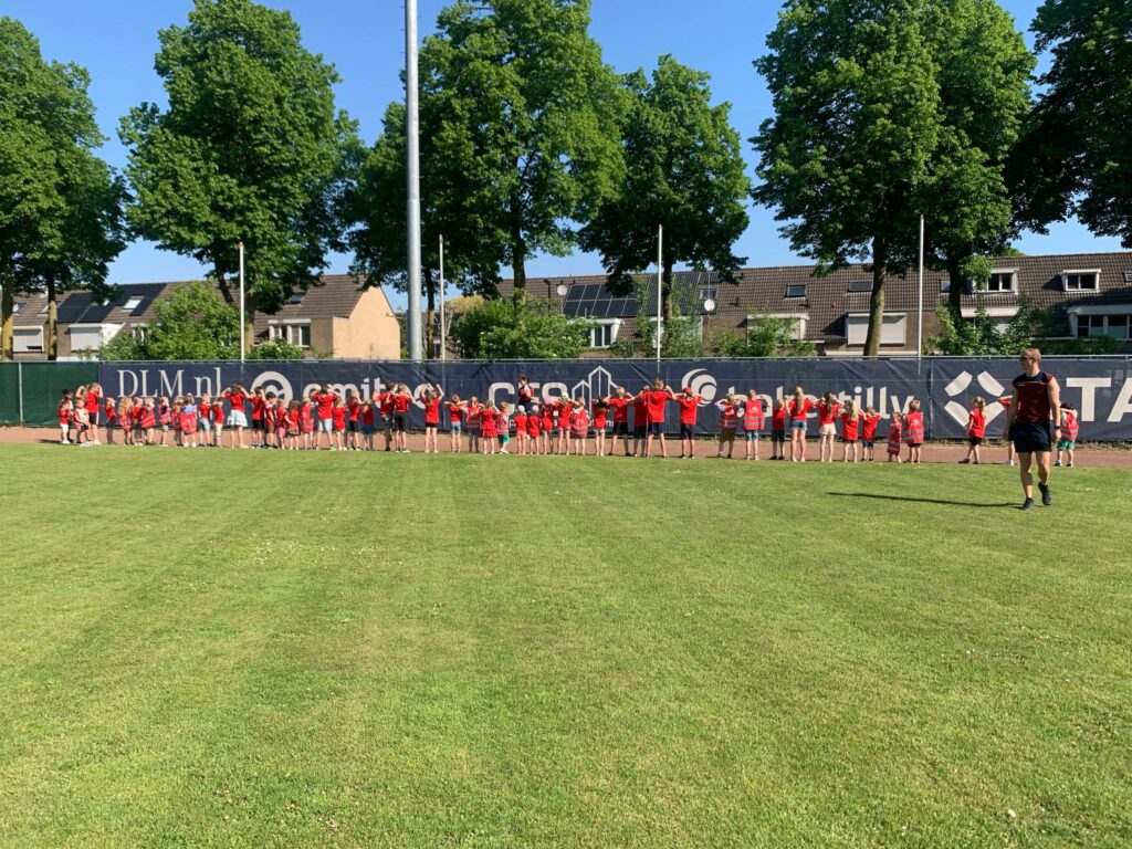 BSO dillehof - twins