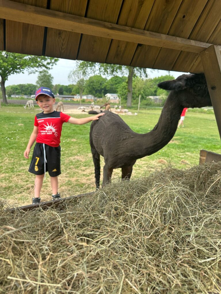 BSO dillehof - zwarte alpaca