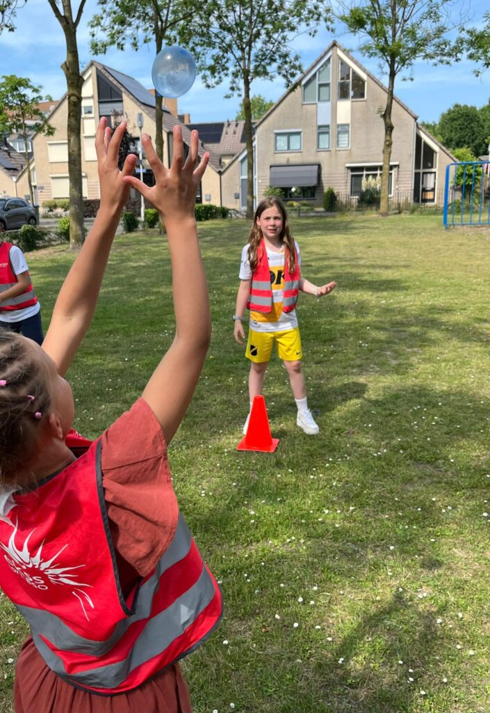 Kraaienest sport BSO