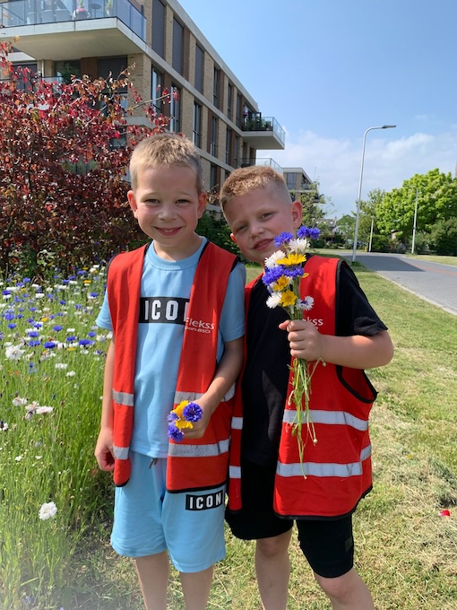 kinderen plukken bloemen nowies