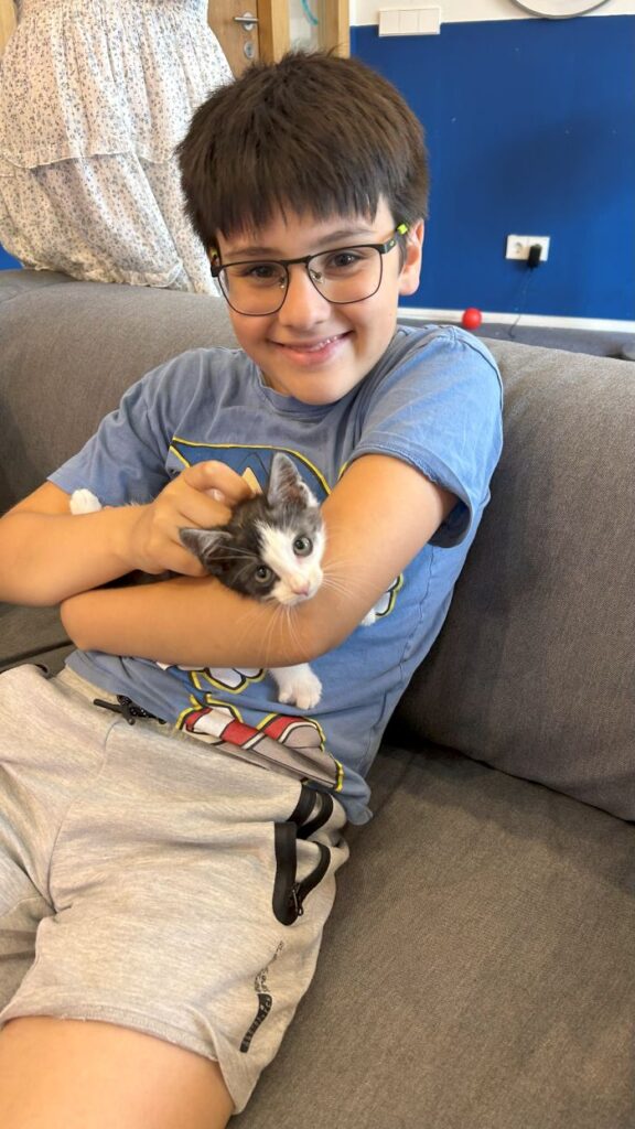 Sport-Bso Flekss Focus Dieren liefhebber