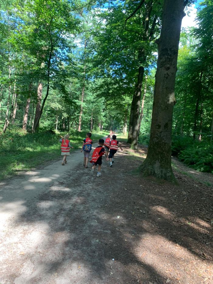 Sport-bso Flekss Kerkwerve Bos Speurtocht