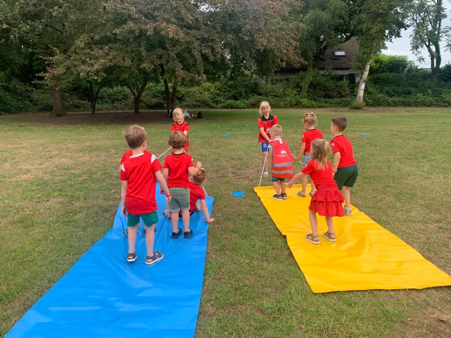 BSO dillehof - vliegend tapijt