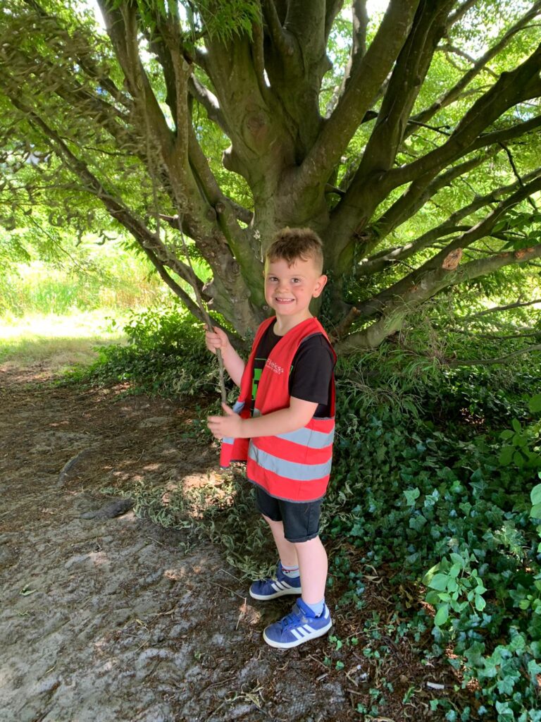 takken verzamelen bij flekss