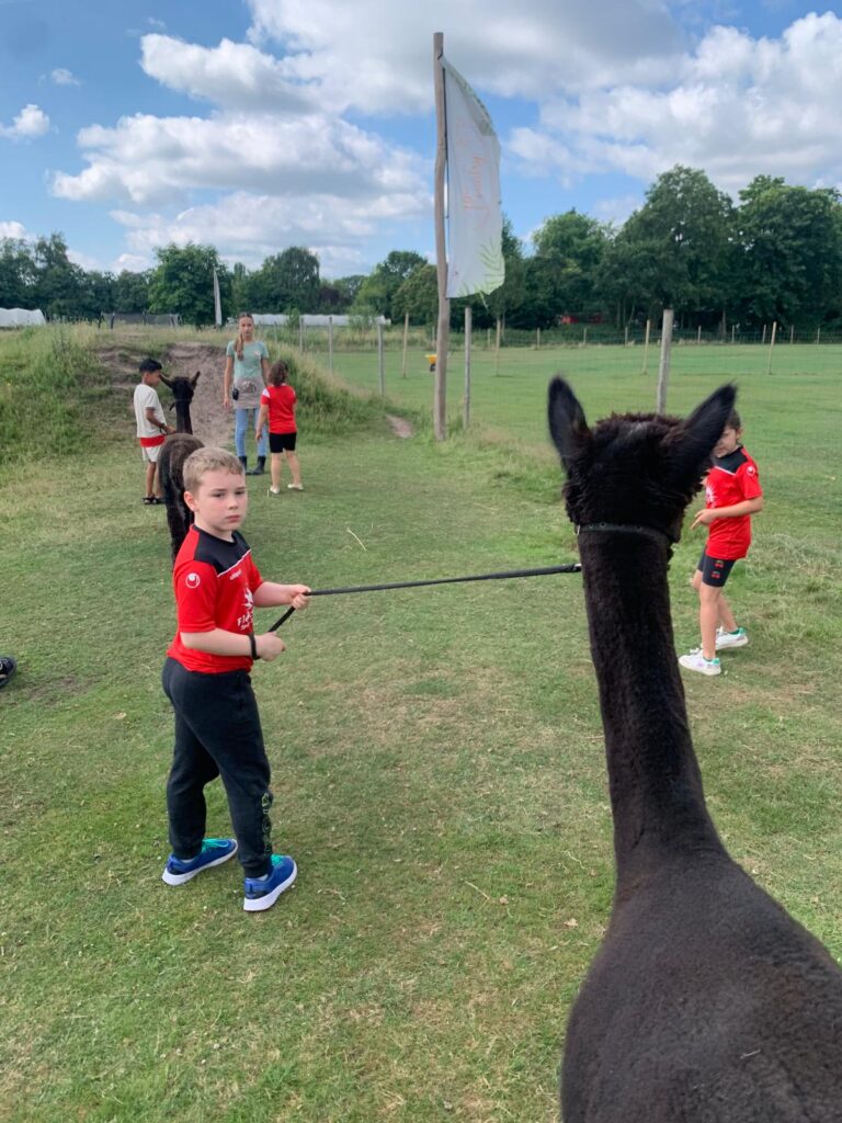 sport bso flekss fontein