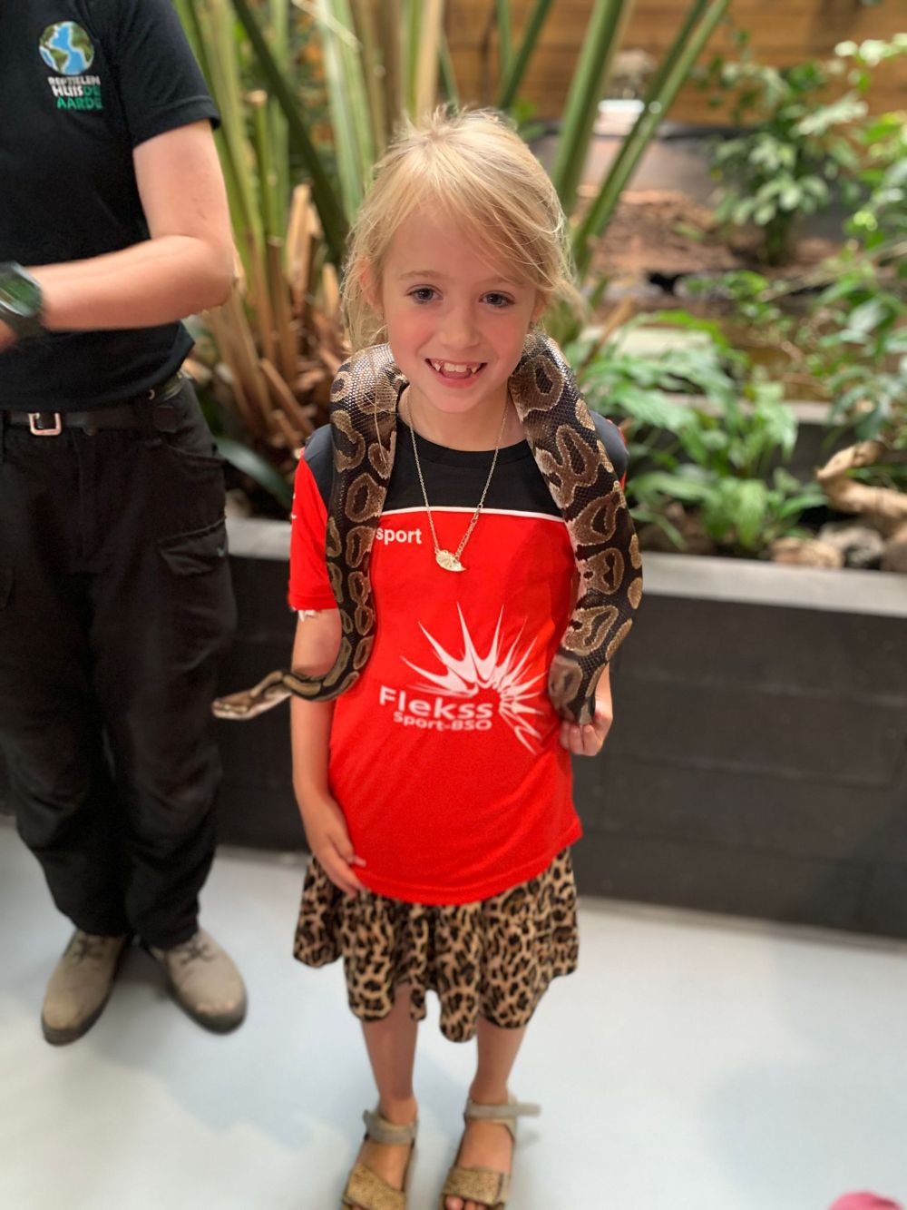 Sport-Bso Flekss Focus Reptielenhuis