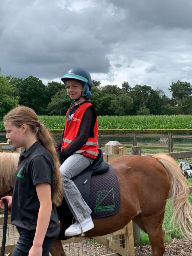 Sport-Bso Flekss Focus Paardrijden scherpenberg