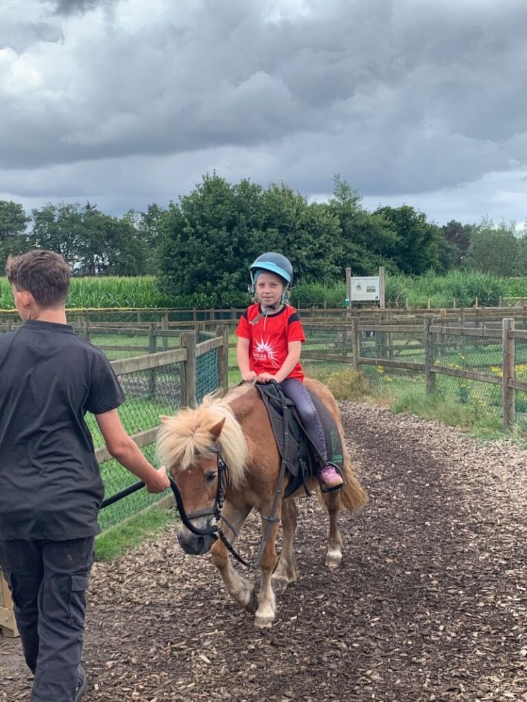 Sport-Bso Flekss Kerkwerve Scherpenberg paardrijden