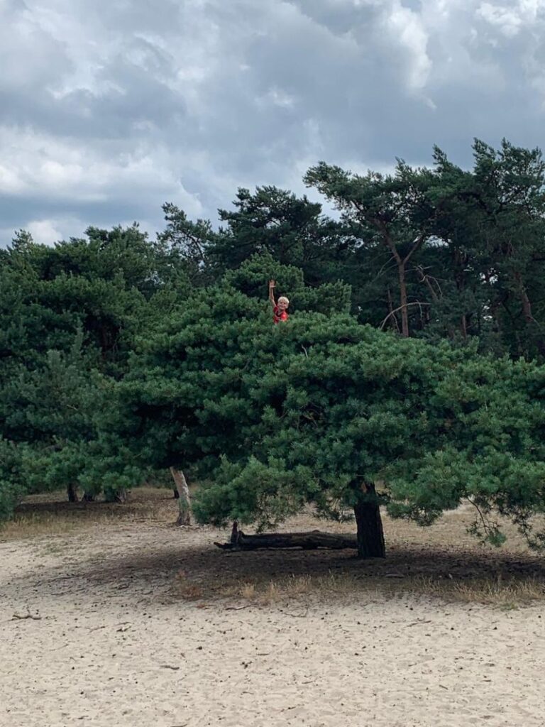 Flekss Terheijden 31 - bos