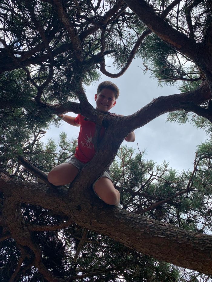 flekss Terheijden 31 - bos