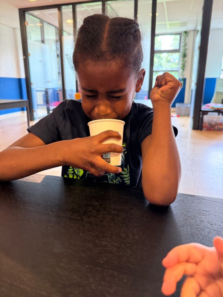 BSO dillehof - smaakles