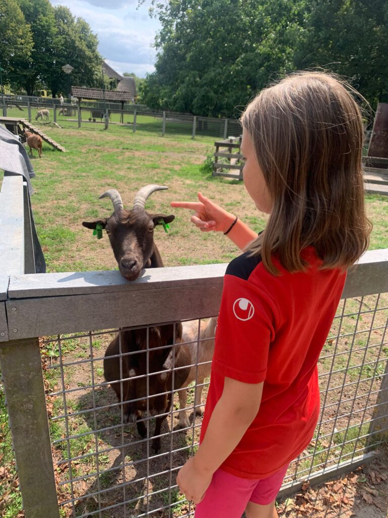 BSO dillehof - kinderboerderij Mek