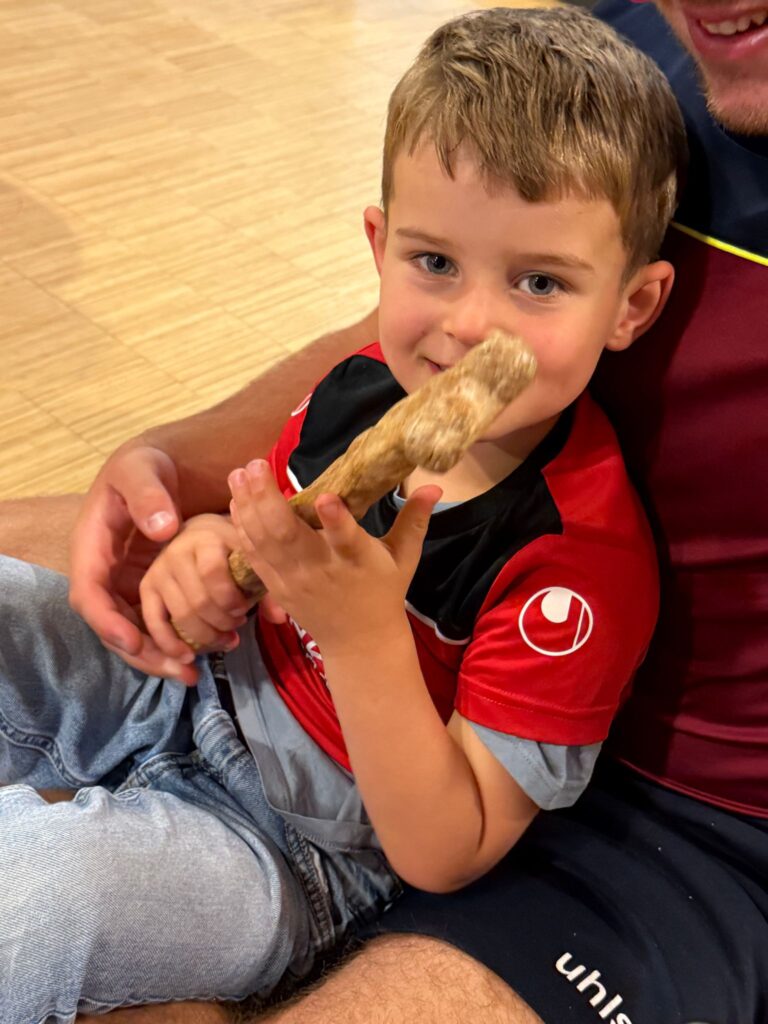 BSO dillehof - Dino bot