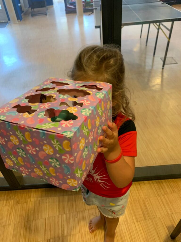 BSO dillehof - Kijkdoos 2