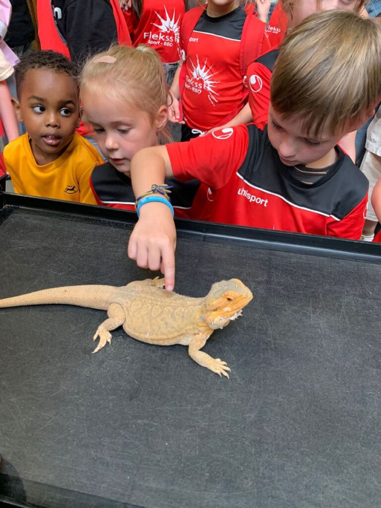 Flekss Terheijden 28 - reptielenhuis