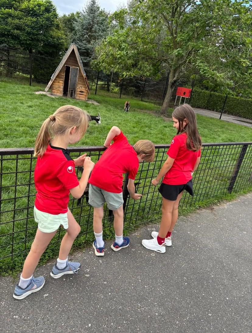 Kinderen spelen bij Pukkemuk met Sport-BSO Flekss