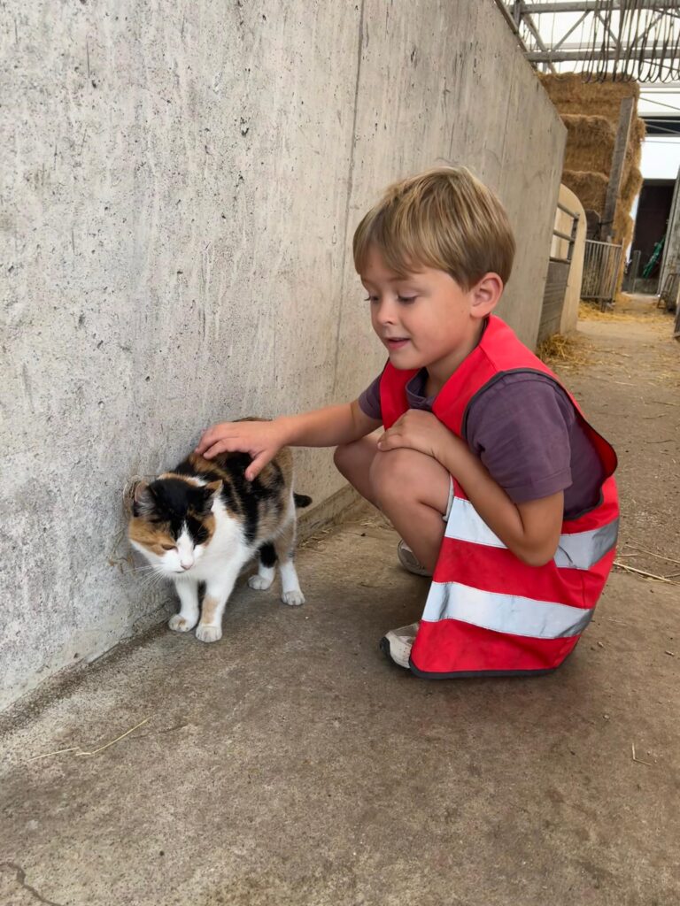 Boerderijkat aaien!