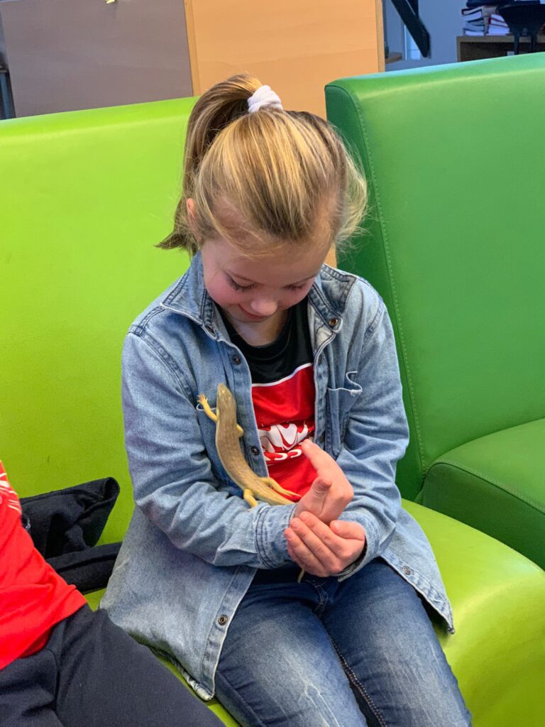 leukste kinderopvang breda