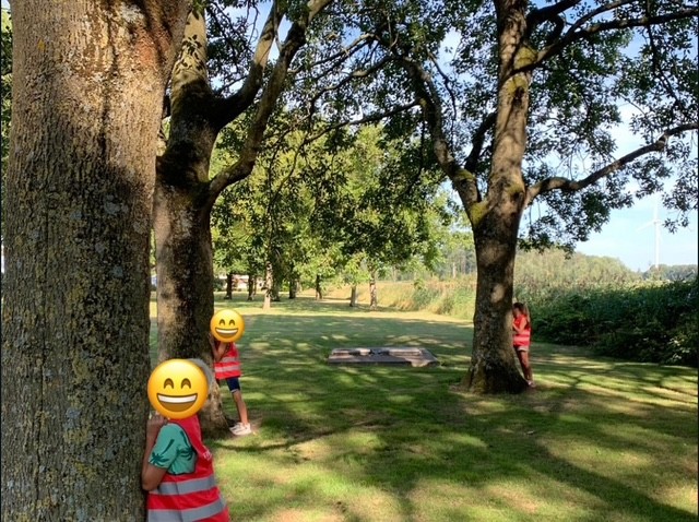 vertsoppen buskruit bso klundert