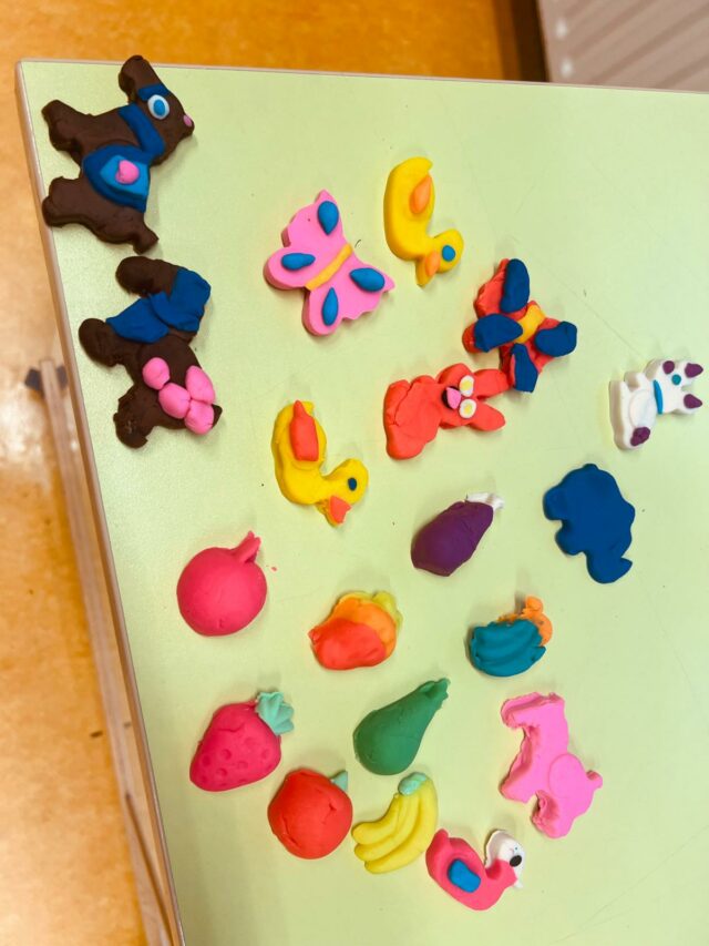 flekss kinderopvang breda