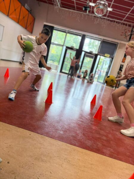 Flekss bso kraaienest