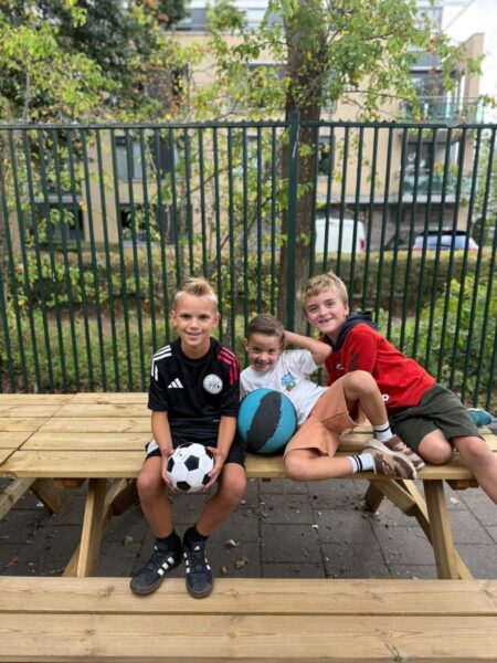 Flekss bso kraaienest 2