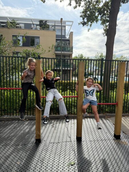 Flekss bso kraaienest 4