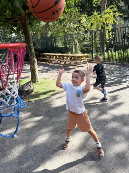 Flekss bso kraaienest 5