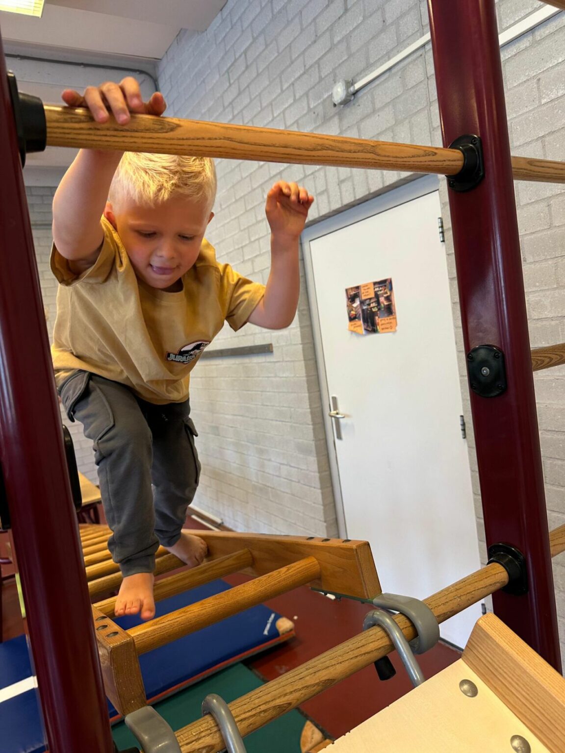 flekss kinderopvang breda de rietvink