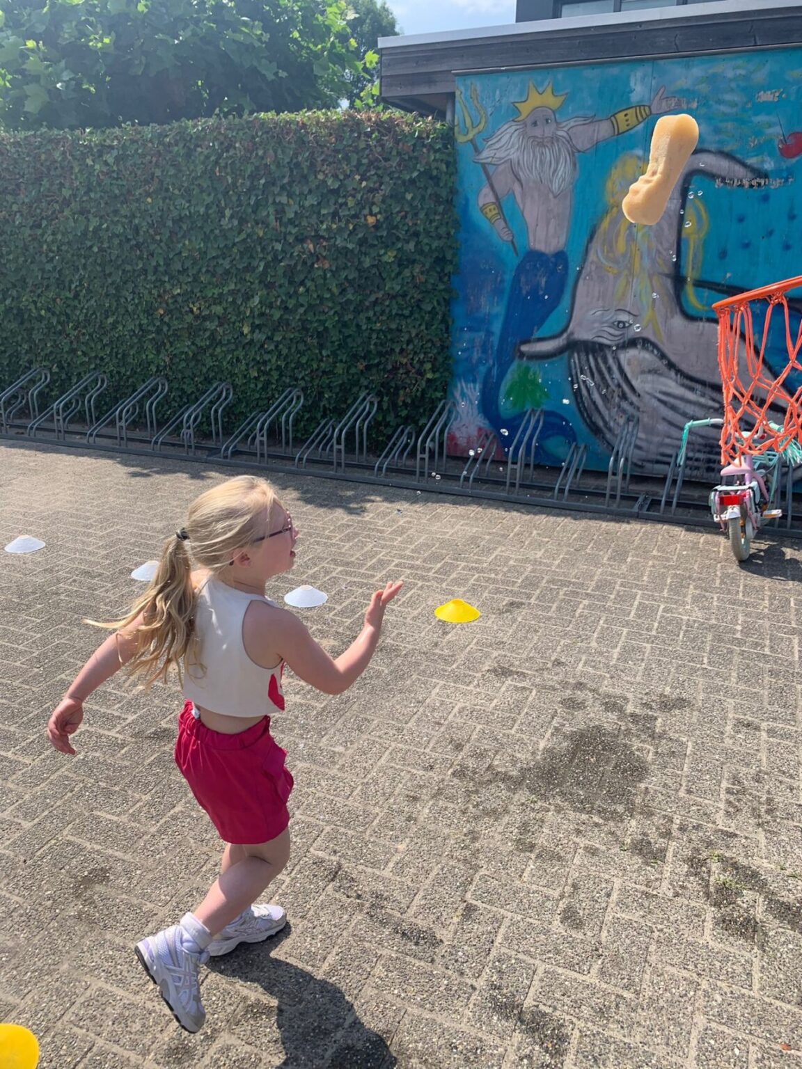 leukste bso van breda flekss