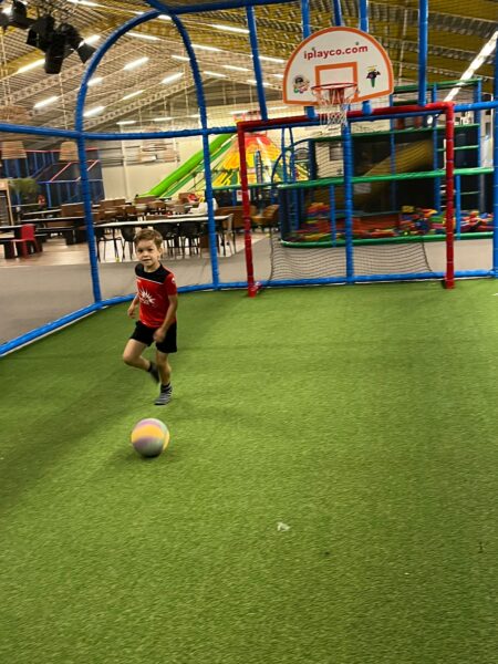 Flekss kraaienest 10