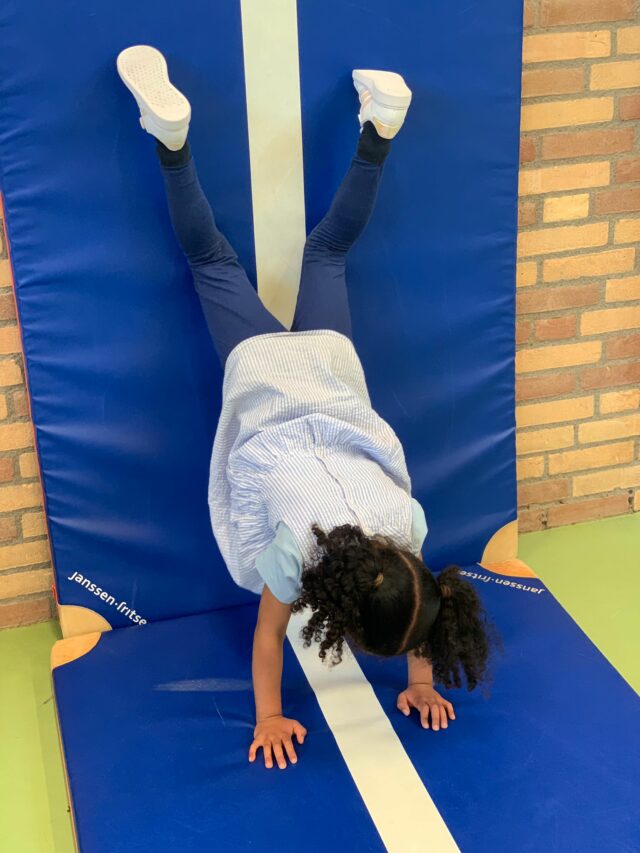 flekss kinderopvang breda noord