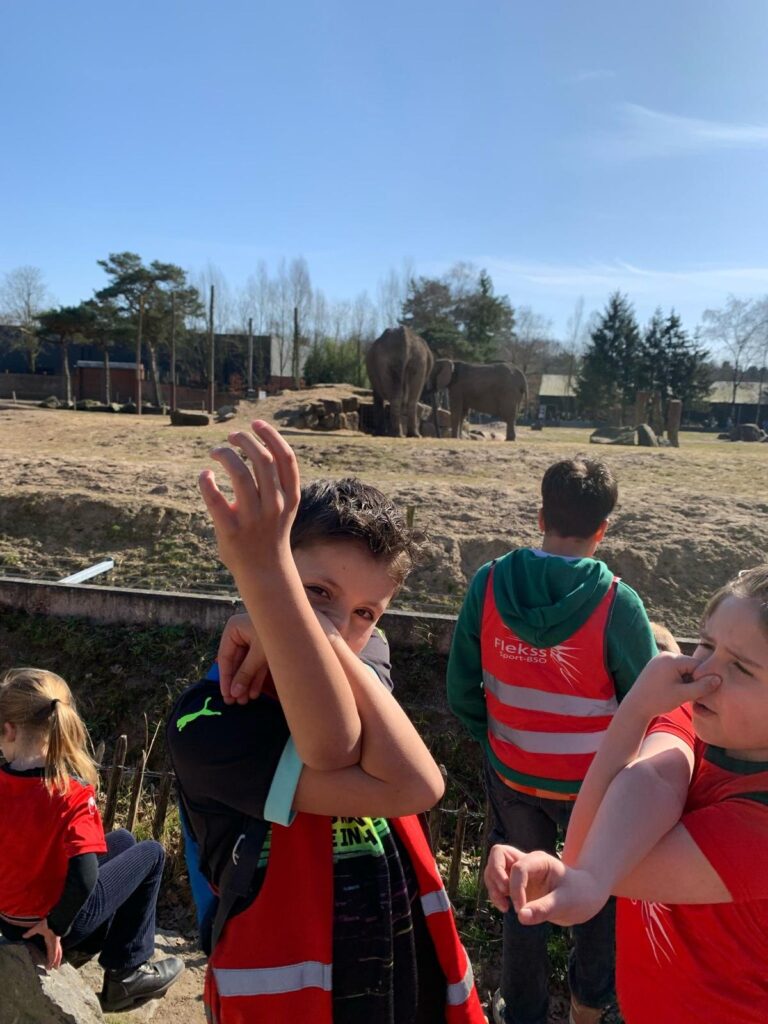 Flekss Terheijden 10 - Beekse Bergen